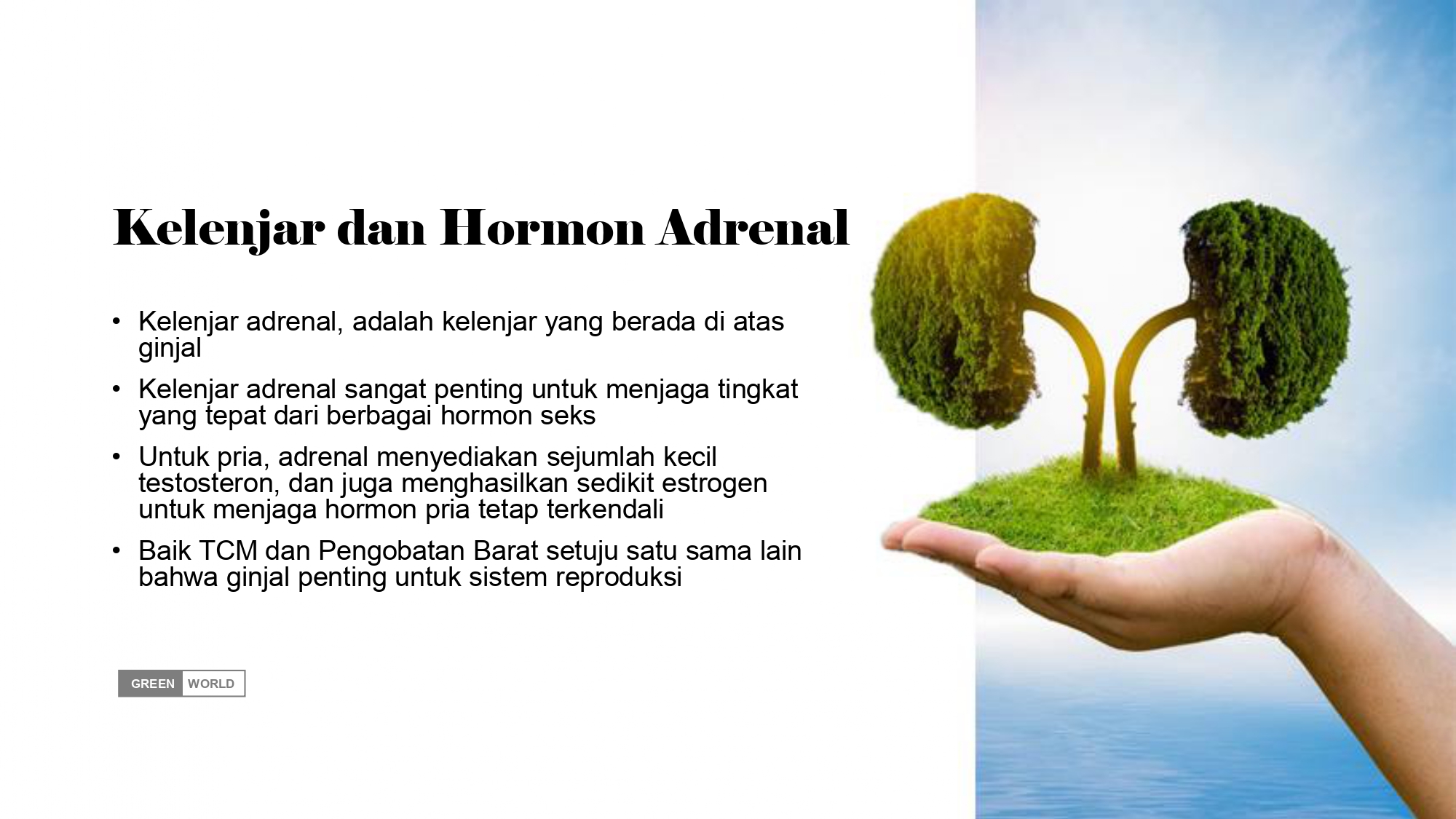 Education content image